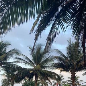 Meet your Posher, Arina